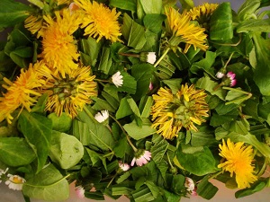 Regina F. Rau: Kr&auml;uter-Pause von  Unterwegs